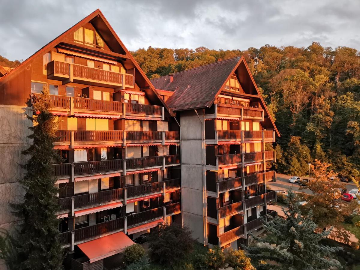 Gaishoell-Wasserfaelle Apartment Schwarzwald Sasbachwalden Exterior foto